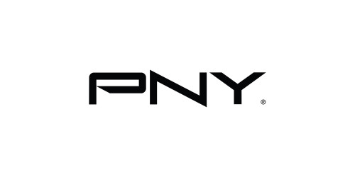 PNY VCQP1000V2-TAA