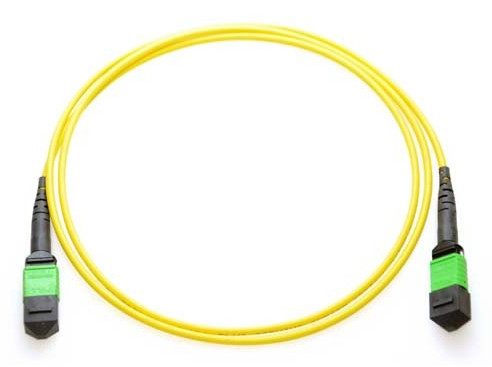 Axiom AXG95165 InfiniBand/fibre optic cable 196.9" (5 m) MPO/MTP OFNP Yellow