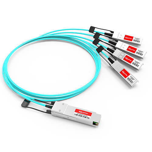 Accortec FG-TRAN-QSFP-4XSFP+75M-ACC InfiniBand/fibre optic cable 2952.8" (75 m) QSFP+ AOC Aqua color , FG-TRAN-QSFP-4XSFP+75M-ACC