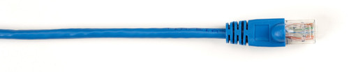 AddOn Networks ADD-22FCAT6-BE networking cable Blue 263.8" (6.7 m) Cat6 U/UTP (UTP) , ADD-22FCAT6-BE