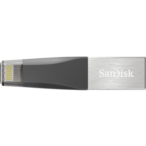 SanDisk SDIX40N-256G-GN6NE