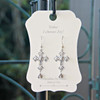 FER-410  Today I choose Joy Message Earrings