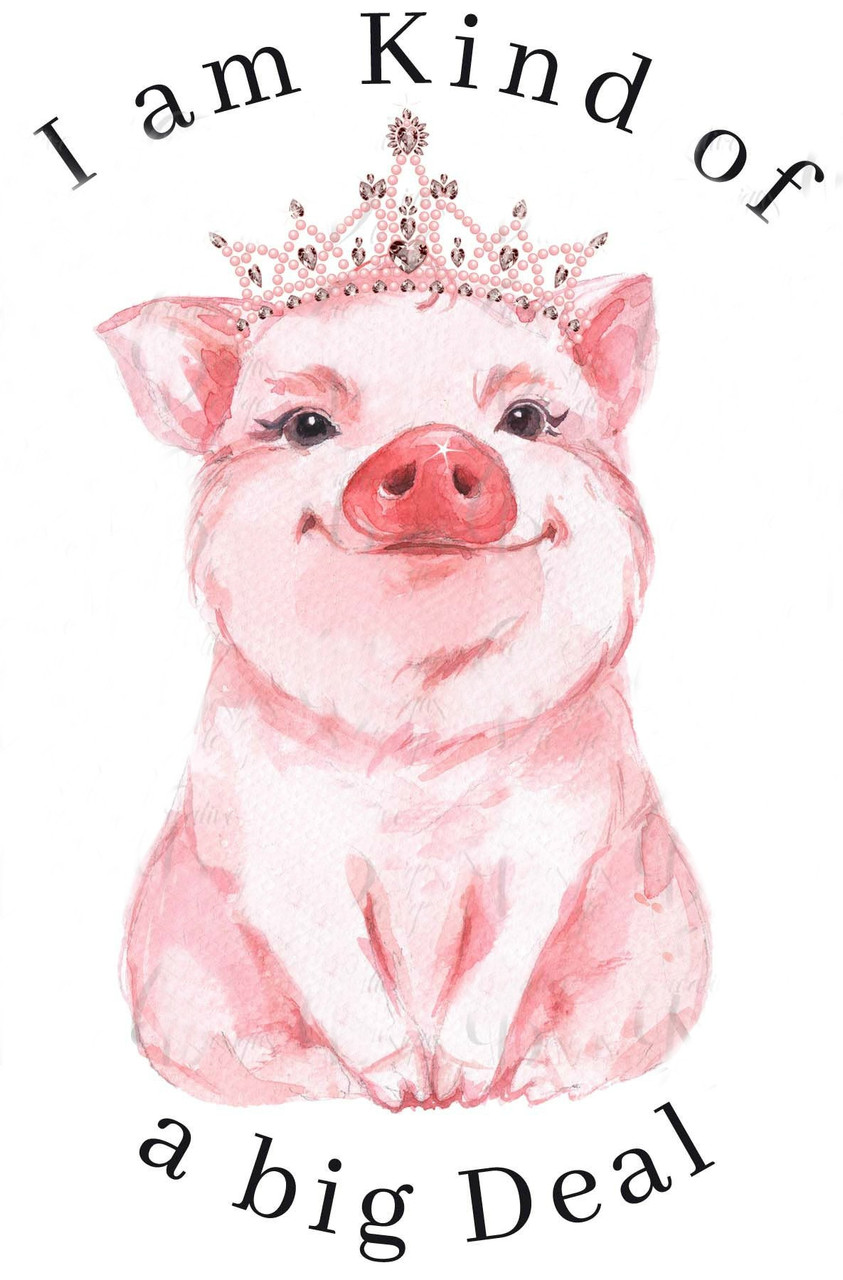 00-86CR  I am Kind of a Big Deal Onesie 6-12 months with crystals