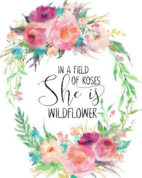 00-93CR  She is a Wildflower 3-6 months with Crystals