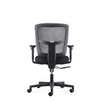 Friant Zone Too Mesh Back Task Chair