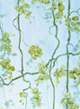 Vigne, printed mural wallpaper by Paul Montgomery. Full color detail shot. Vigne, printed mural wallpaper by Paul Montgomery. Full color detail shot.