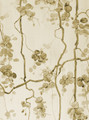 Vigne, printed mural wallpaper by Paul Montgomery. Sepia detail shot. Vigne, printed mural wallpaper by Paul Montgomery. Sepia detail shot.