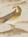 Worthmore Minkish, printed mural wallpaper by Paul Montgomery. Up-close detail shot.