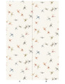 Dragonflies