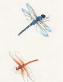 Dragonflies
