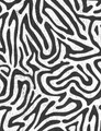 Contours