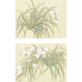 Freesias | The Mural Source by Paul Montgomery