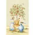 Potted Citrus