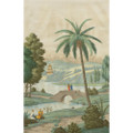 China Palms