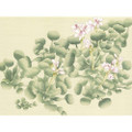 Water Hyacinth