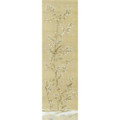 Canton Parchment