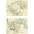 Little Garden | The Mural Source by Paul Montgomery