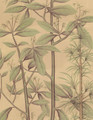 Quiet Forest Tan Hand-Painted  Original