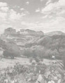 Texas