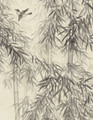 Bamboo in Mist