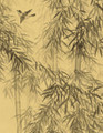 Bamboo in Mist