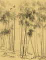 Bamboo in Mist