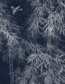 Bamboo in Mist