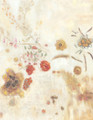 Redon