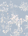 Meadow Garden