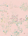 Meadow Garden