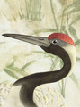 Bamboo and Cranes, printed mural wallpaper by Paul Montgomery. Cream detail shot.