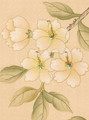 Bonmaison Beige, printed mural wallpaper by Paul Montgomery. Up-close detail shot.