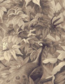 Brazil, printed mural wallpaper by Paul Montgomery. Sepia detail shot.