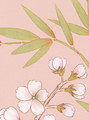 Chai Wan Triptych, printed mural wallpaper by Paul Montgomery. Rose detail shot.