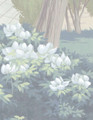 English Parks