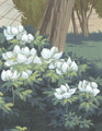 English Parks