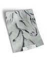Equus Sample | The Mural Source by Paul Montgomery