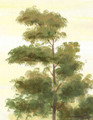 Low Country, printed mural wallpaper by Paul Montgomery. Detail shot.