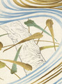 Kimono, printed mural wallpaper by Paul Montgomery. Up-close detail shot.
