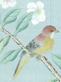 Maysong, printed mural wallpaper by Paul Montgomery. Spring detail shot.