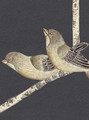 Maysong Charcoal Tall, printed mural wallpaper by Paul Montgomery. Up-close detail shot.