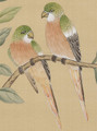 Nanjing Beige, printed mural wallpaper by Paul Montgomery. Up-close detail shot. Nanjing Beige, printed mural wallpaper by Paul Montgomery. Up-close detail shot.