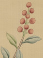 Nanjing Beige, printed mural wallpaper by Paul Montgomery. Up-close detail shot.