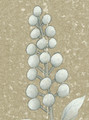 Nanjing Tea Paper, printed mural wallpaper by Paul Montgomery. Up-close detail shot.
