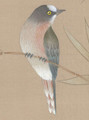 Palace Garden Beige, printed mural wallpaper by Paul Montgomery. Up-close detail shot.