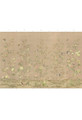 Palace Garden Beige, printed mural wallpaper by Paul Montgomery. Panel layout.