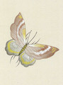 Palace Garden Cream, printed mural wallpaper by Paul Montgomery. Up-close detail shot.