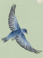 Palazzo Green, printed mural wallpaper by Paul Montgomery. Up-close detail shot.