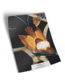 10" x 13" sample of Paradise Trellis; black modern mural