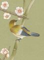 Parc Bonaire, printed mural wallpaper by Paul Montgomery. Sage detail shot.